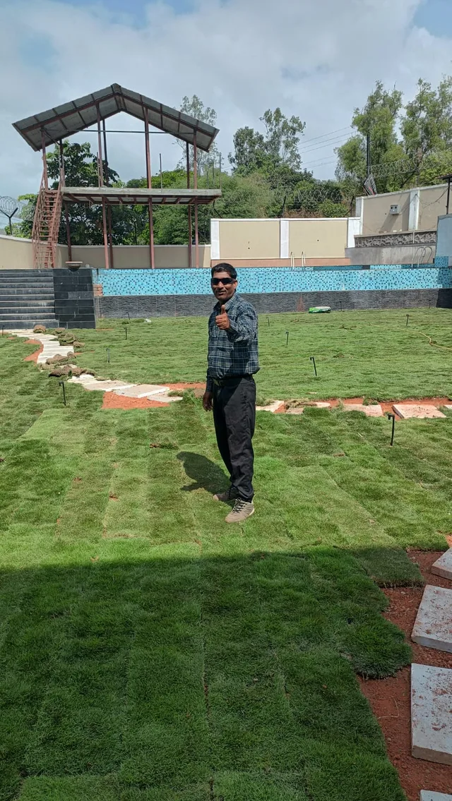 Person standing on a newly laid lawn near a paved path