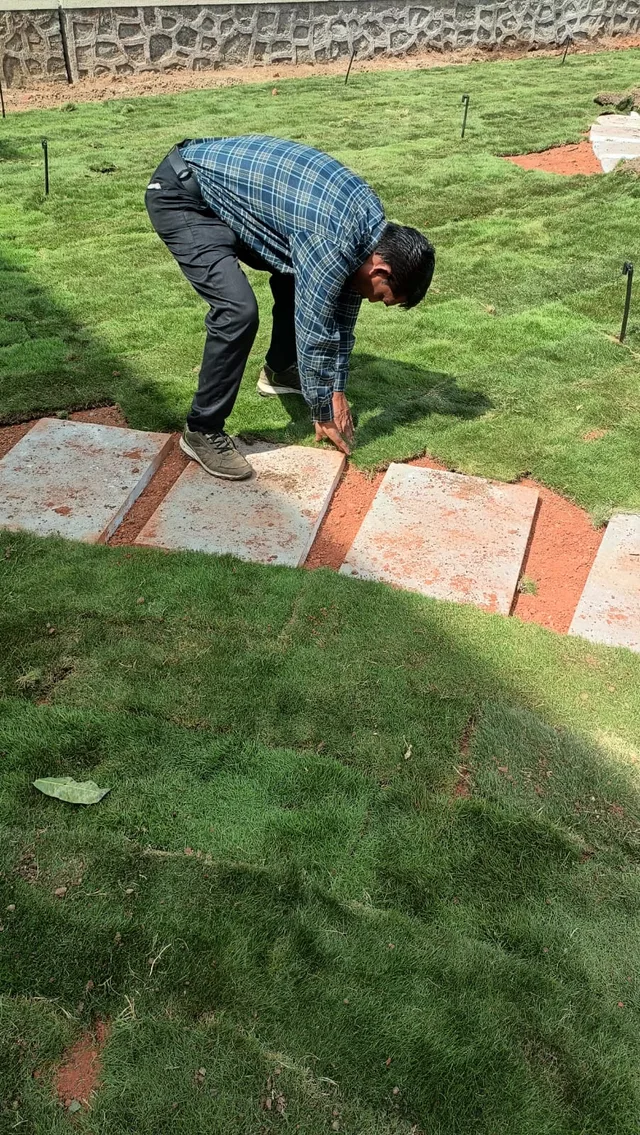 Person fitting lawn turf alongside stone paving