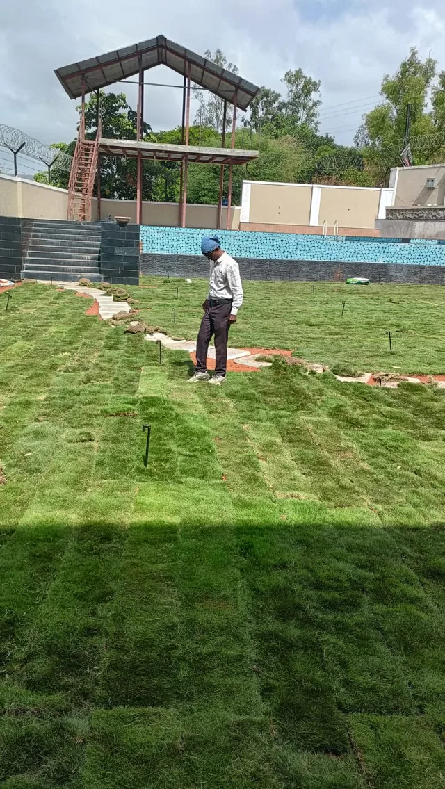 Person working across turf beside a garden pathway