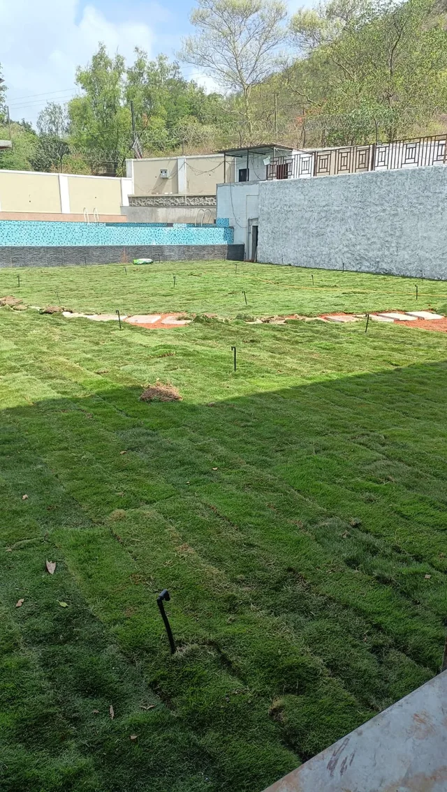 A closer view of turf and garden paving