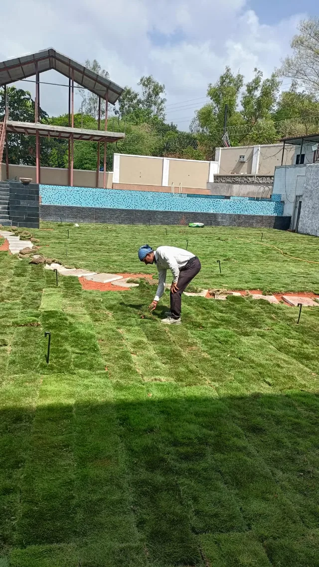 Person bending to work on newly laid turf
